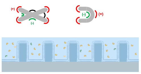 Nano-sensing platform